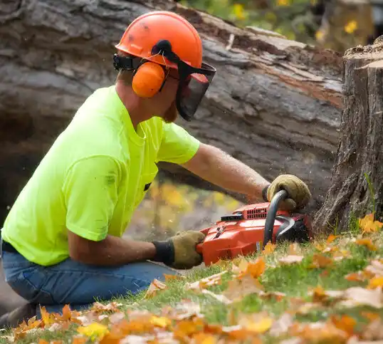 tree services Westhope